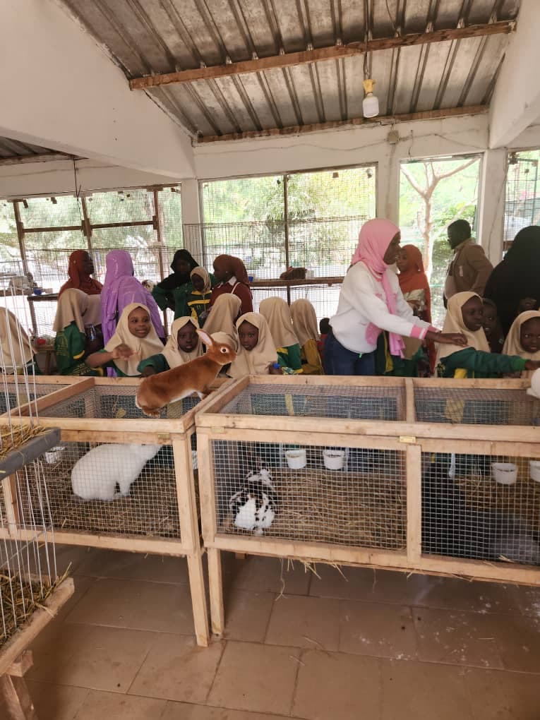 Sorties pédagogiques et découverte